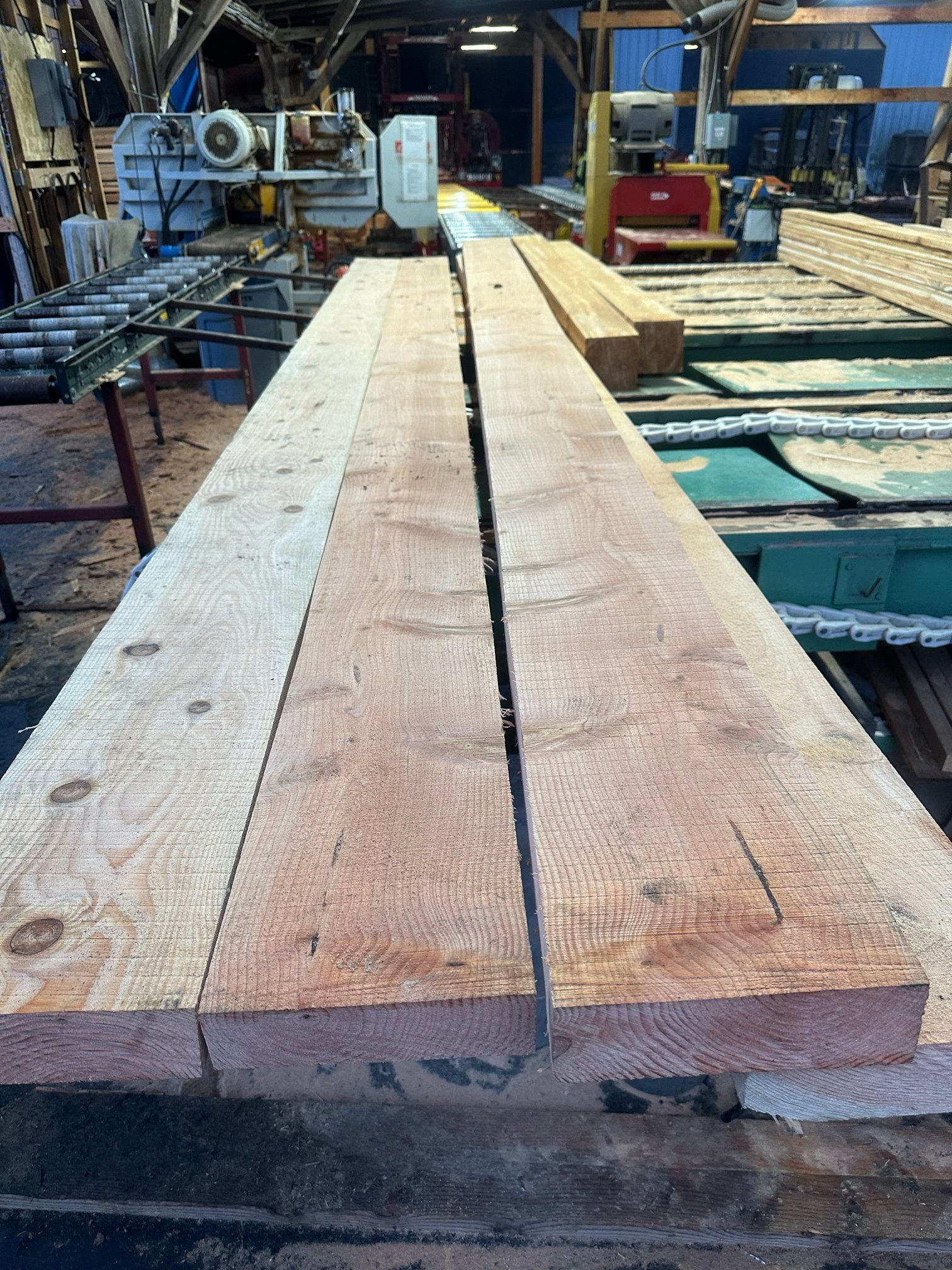 Douglas-fir boards on the resaw line inside the plant